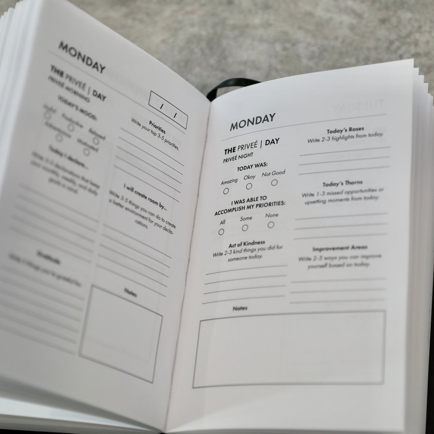 6-Month Detailed Privée Planner